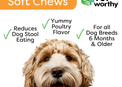 Vet Worthy Stop Stool Ingestion Liver Flavored Soft Chew for Dogs (45 Count)