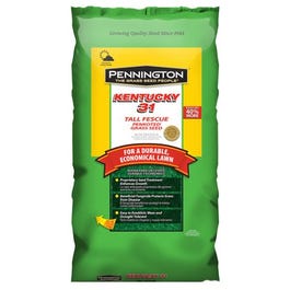 Kentucky 31 Tall Fescue Grass Seed, Penkoted, 25-Lbs