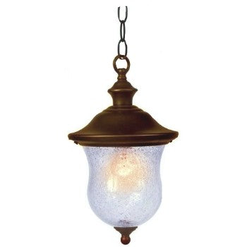 Hardware House 544098 Outdoor Light Fixture - Chain Hung