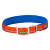 Terrain Reflective Lined Dog Collar, Orange Nylon, 19-In.