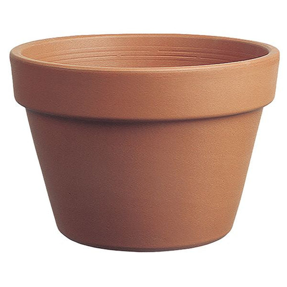 Border Concepts Italian Azalea Pot Terracotta (7.5