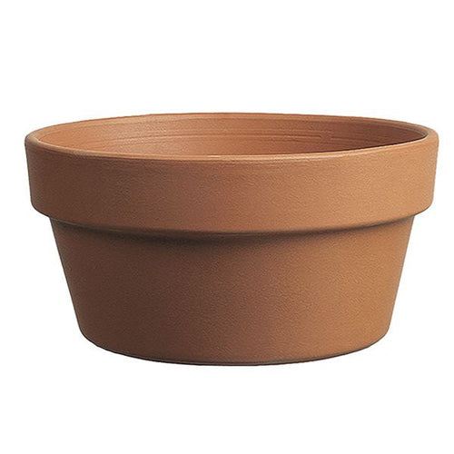 Border Concepts Italian Bulb Pan Terracotta