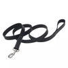 Coastal Pet Circle T Oak Tanned Leather Dog Leash