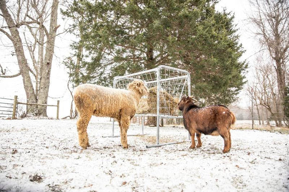 Tarter Goat Hay Rack
