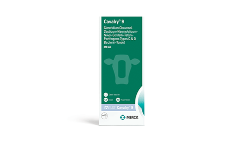 Merck Bovilis® Cavalry® 9