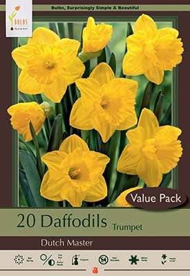 Netherland Bulb Company  Trumpet  Daffodil Narcissus 'Dutch Master' (8 Bulbs)