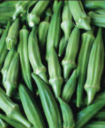 OKRA CLEMSON SPINELESS