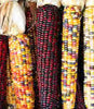 ORNAMENTAL CORN INDIAN