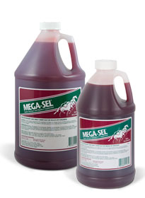 Spectra MEGA-SEL Equine Sore Muscle Solution