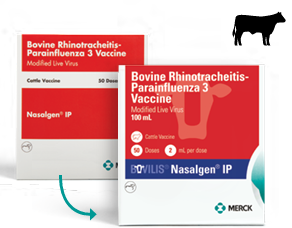 Merck Bovilis® Nasalgen® IP