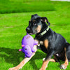 KONG Phatz Hippo Dog Plush Toy