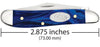 Case Smooth Blue Pearl Kirinite® Peanut