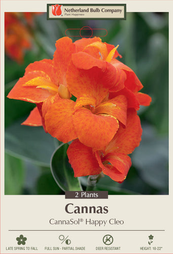 Netherland Bulb Company Canna Lily 'CannaSol® Happy Cleo'