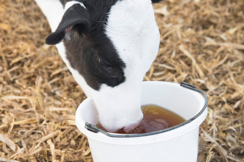 TechMix BlueLite Replenishᴹ