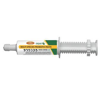 Aspen Micromaster® Multi-Species Probiotic Paste + Vitamin E
