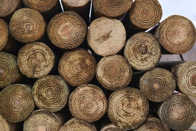 Kencove CCA 5-6 x 12' Tapered Wood Post