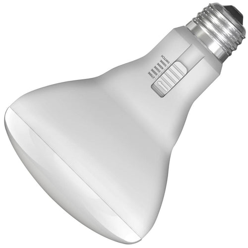Feit Electric