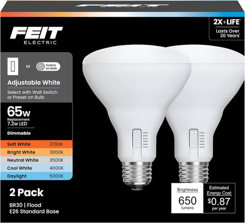 Feit Electric