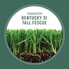 Pennington Kentucky 31 Tall Fescue Grass Seed