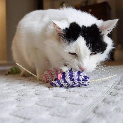 Coastal Pet Turbo Mop Mice Bulk Cat Toy Bin