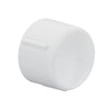 Dura Plastic Cap (fipt) – SCH 40