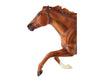 Breyer Secretariat