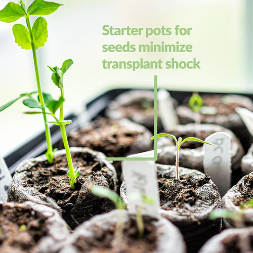 Jiffy Seed Starting Kit, 72 Cell 36mm Peat Pellets