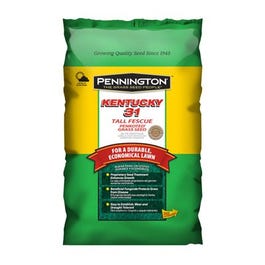 Kentucky 31 Tall Fescue Grass Seed