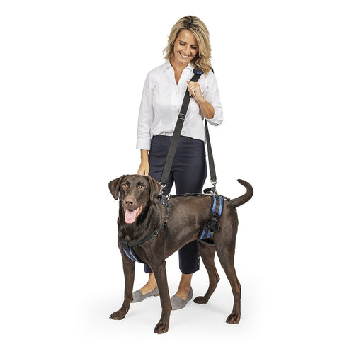 Petsafe CareLift™ Support Harness