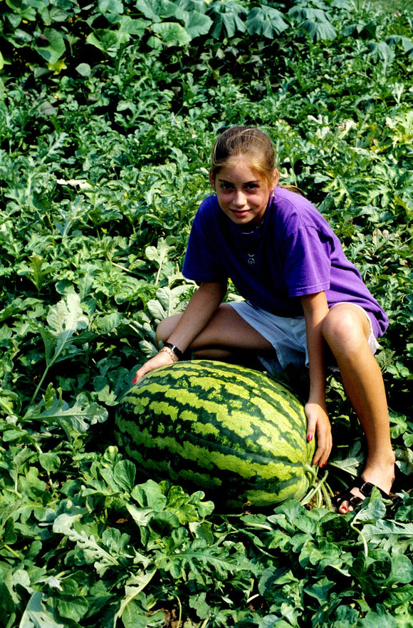 WATERMELON JUBILEE