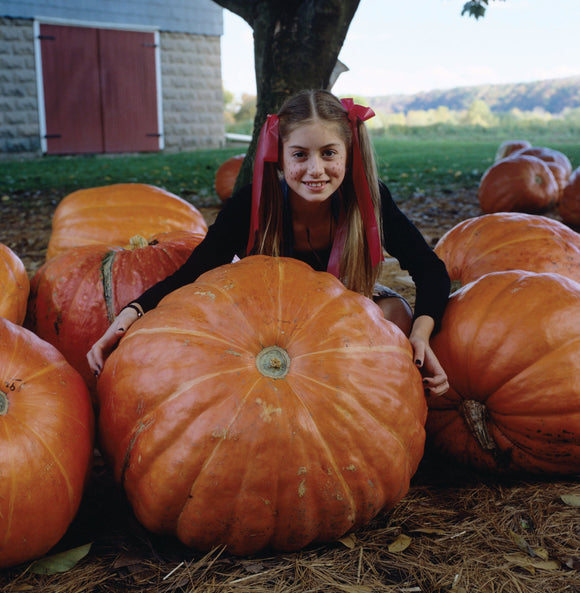 PUMPKIN BIG MAX