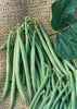 BUSH BEAN TOPCROP