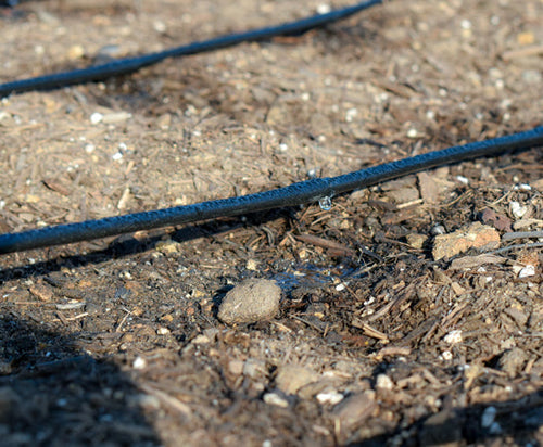 DIG Microline™ Dripline