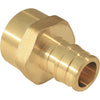 Conbraco 1/2 In. x 1/2 In. Brass Insert Fitting FIP Adapter Type A