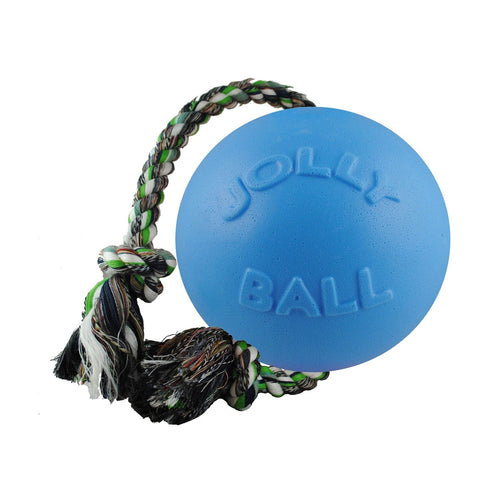 Jolly Pets Romp-N-Roll Toy