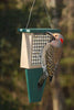 Songbird Essentials Suet Feeder with Tail Prop Hunter Driftwood