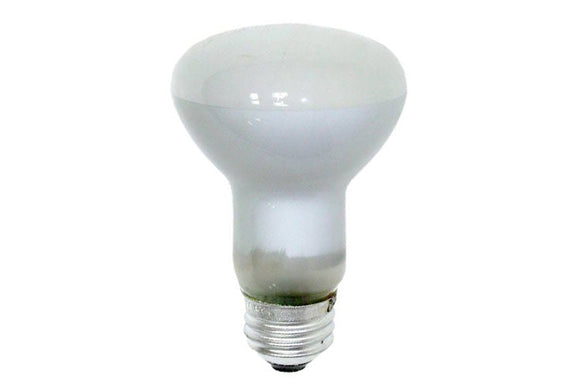 GE Lighting R20 Incandescent Lamp 45 Watts