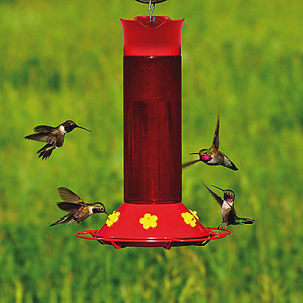 Perky-Pet® Hummer’s Favorite Plastic Hummingbird Feeder - 30 oz Nectar Capacity