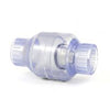 NDS 1 PVC Clear Swing Check Valve