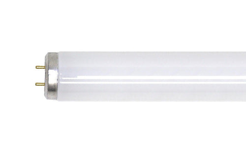 GE Lighting 2' T12 Lamp 20 Watts