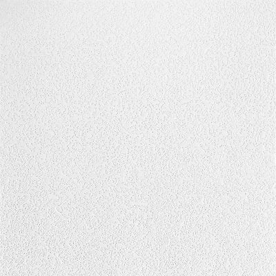 Armstrong Ceiling 24 x 48 Sonoflex Random Fissured Fiberglass