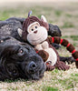 Outward Hound Thunda Tugga Gator Dog Toy