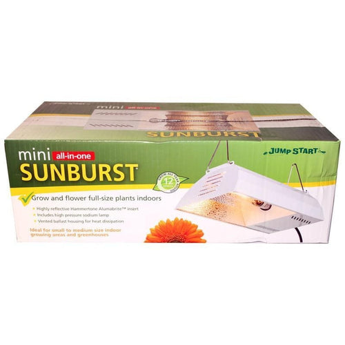 Jump Start Mini Sunburst With Lamp